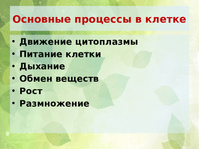 Основные процессы в клетке