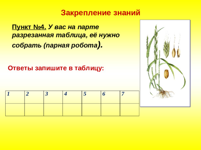 Закрепление знаний Пункт №4.  У вас на парте разрезанная таблица, её нужно собрать (парная робота ).  Ответы запишите в таблицу: 1   2 3   4     5   6 7    