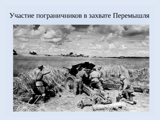 Участие пограничников в захвате Перемышля