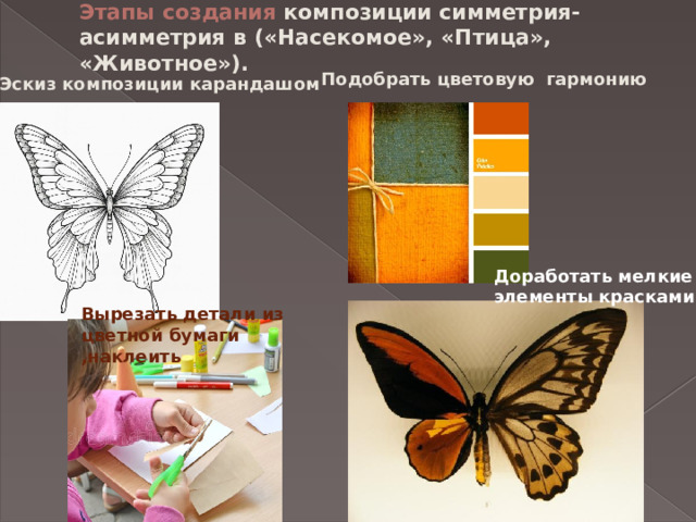 Этапы создания композиции симметрия-асимметрия в («Насекомое», «Птица», «Животное»). Подобрать цветовую гармонию Эскиз композиции карандашом Доработать мелкие элементы красками Вырезать детали из цветной бумаги ,наклеить