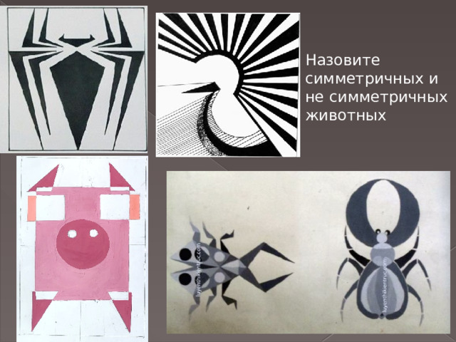 Назовите симметричных и не симметричных животных