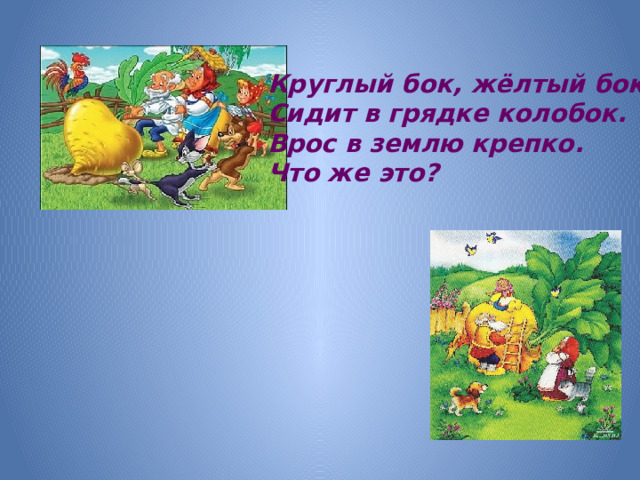 Круглый бок, жёлтый бок, Сидит в грядке колобок. Врос в землю крепко. Что же это?