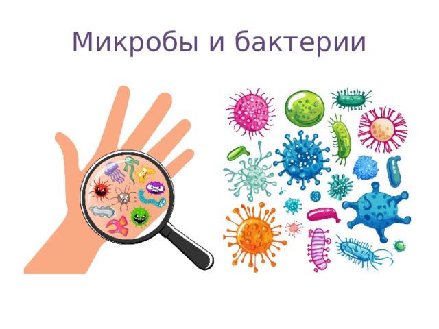 Микробы и бактерии