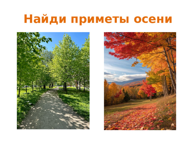 Найди приметы осени