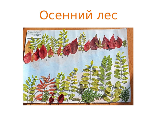 Осенний лес