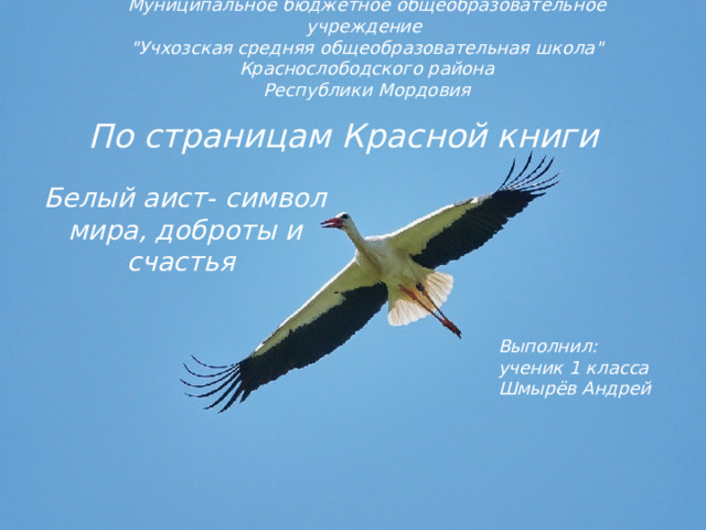 Муниципальное бюджетное общеобразовательное учреждение 