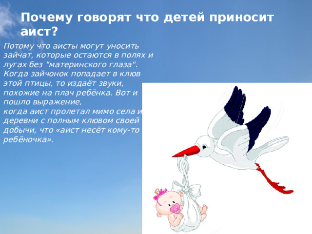 Почему говорят что детей приносит аист? Потому что аисты могут уносить зайчат, которые остаются в полях и лугах без 