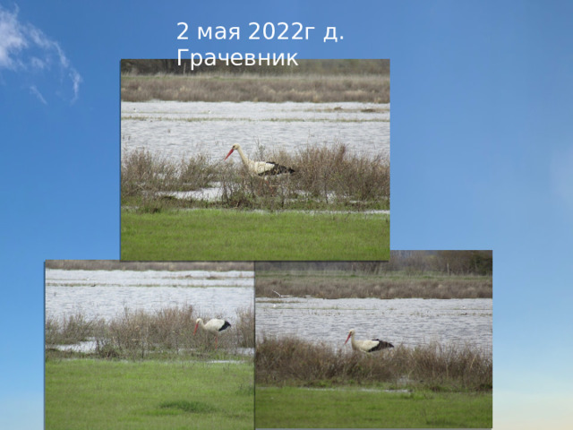 2 мая 2022г д. Грачевник