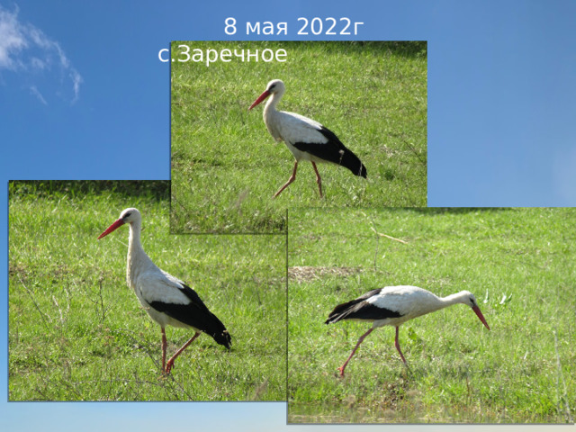 8 мая 2022г с.Заречное
