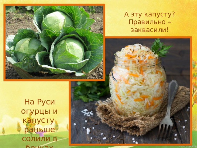 А эту капусту? Правильно – заквасили! На Руси огурцы и капусту раньше солили в бочках