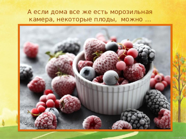 А если дома все же есть морозильная камера, некоторые плоды, можно …(заморозить).