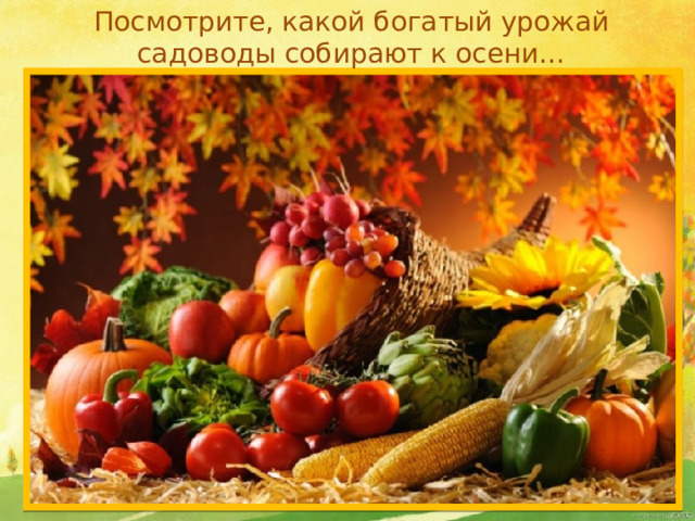 Посмотрите, какой богатый урожай садоводы собирают к осени…