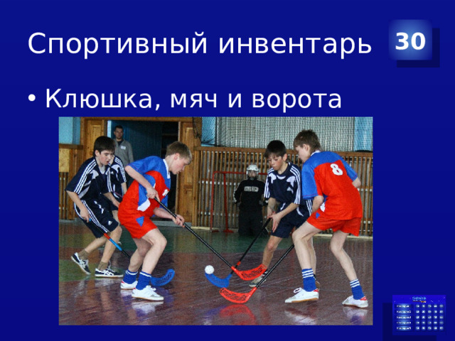 Спортивный инвентарь 30