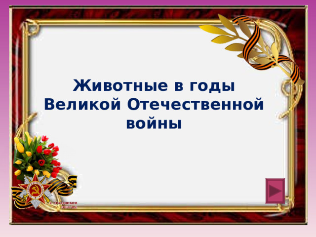 Животные в годы Великой Отечественной войны