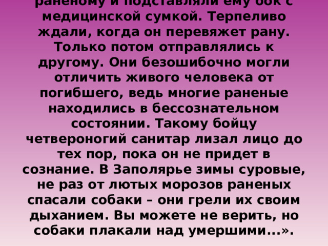 Собаки по-пластунски подползали к раненому и подставляли ему бок с медицинской сумкой. Терпеливо ждали, когда он перевяжет рану. Только потом отправлялись к другому. Они безошибочно могли отличить живого человека от погибшего, ведь многие раненые находились в бессознательном состоянии. Такому бойцу четвероногий санитар лизал лицо до тех пор, пока он не придет в сознание. В Заполярье зимы суровые, не раз от лютых морозов раненых спасали собаки – они грели их своим дыханием. Вы можете не верить, но собаки плакали над умершими...».