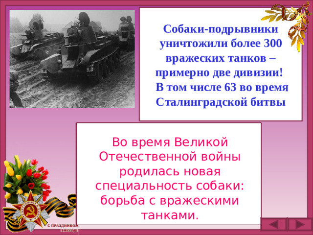 Собаки-подрывники уничтожили более 300 вражеских танков – примерно две дивизии!  В том числе 63 во время Сталинградской битвы Во время Великой Отечественной войны родилась новая специальность собаки: борьба с вражескими танками.