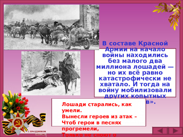 В составе Красной Армии на начало войны находились без малого два миллиона лошадей — но их всё равно катастрофически не хватало. И тогда на войну мобилизовали других копытных «грузчиков». Лошади старались, как умели.  Вынесли героев из атак –  Чтоб герои в песнях прогремели,  Только не споют о лошадях…