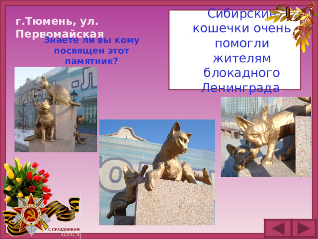Сибирские кошечки очень помогли жителям блокадного Ленинграда . г.Тюмень, ул. Первомайская Знаете ли вы кому посвящен этот памятник?
