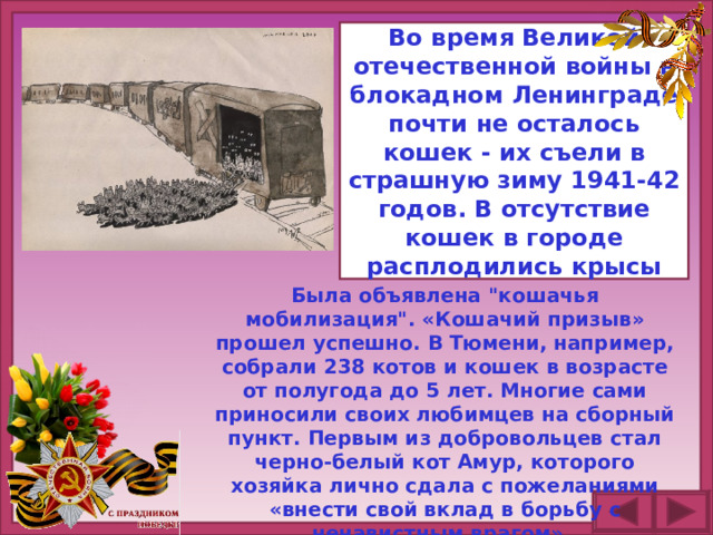 Во время Великой отечественной войны в блокадном Ленинграде почти не осталось кошек - их съели в страшную зиму 1941-42 годов. В отсутствие кошек в городе расплодились крысы Была объявлена 