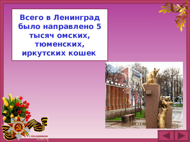 Всего в Ленинград было направлено 5 тысяч омских, тюменских, иркутских кошек .