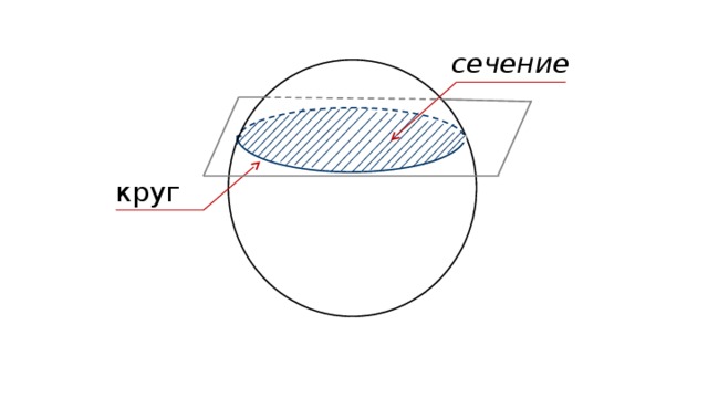 Диаметр окружности сечения. Сечение окружности. Окружность в разрезе. Сечение круга по диаметру.