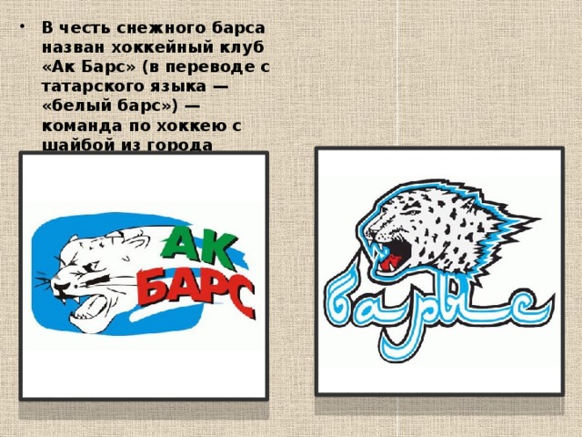 В честь снежного барса назван хоккейный клуб «Ак Барс» (в переводе с татарского языка — «белый барс») — команда по хоккею с шайбой из города Казани,