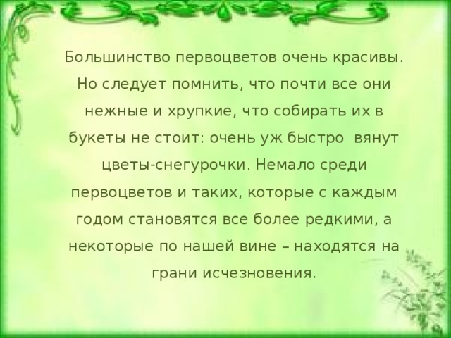 Большинство первоцветов очень красивы. Но следует помнить, что почти все они нежные и хрупкие, что собирать их в букеты не стоит: очень уж быстро вянут цветы-снегурочки. Немало среди первоцветов и таких, которые с каждым годом становятся все более редкими, а некоторые по нашей вине – находятся на грани исчезновения. Тюльпан двуцветный