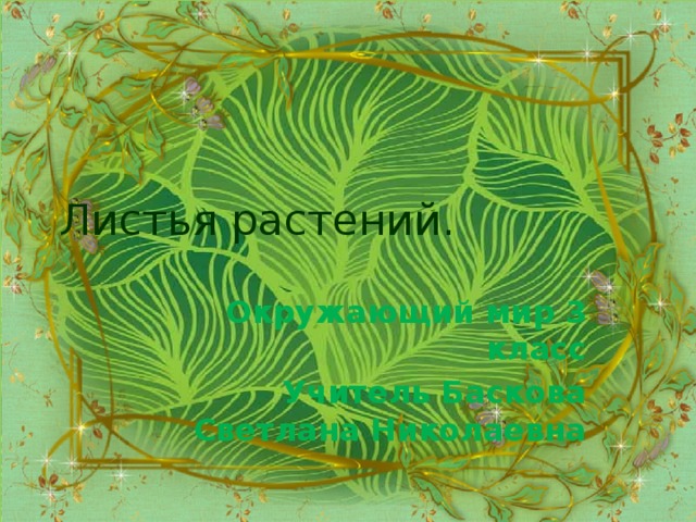 Листья растений. Окружающий мир 3 класс Учитель Баскова Светлана Николаевна