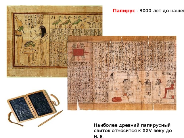 Папирус - 3000 лет до нашей эры Наиболее древний папирусный свиток относится к XXV веку до н. э.