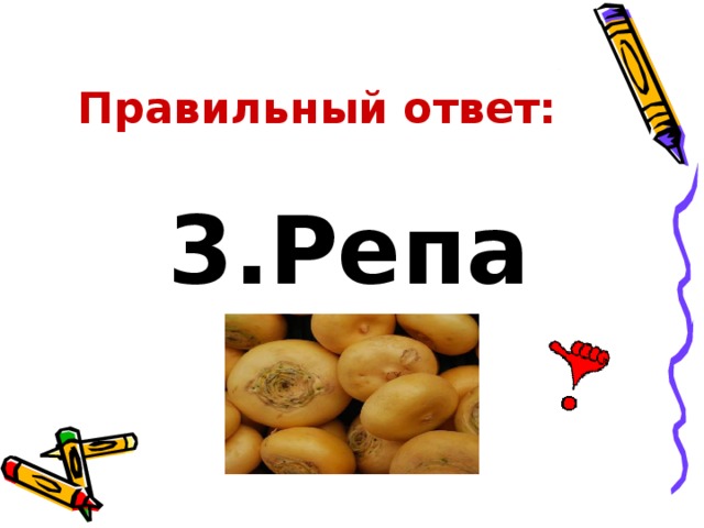 Правильный ответ: 3.Репа