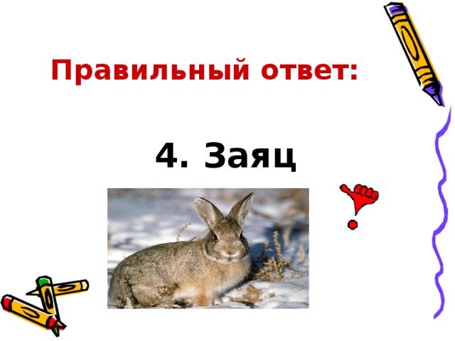 Правильный ответ: 4. Заяц