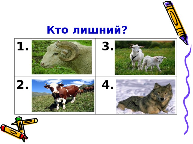 Кто лишний? 1.  3. 2.  4.