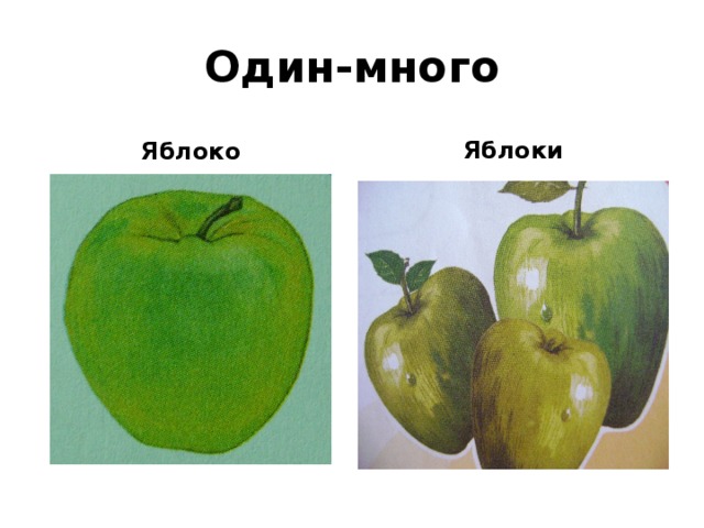 Один-много Яблоко Яблоки