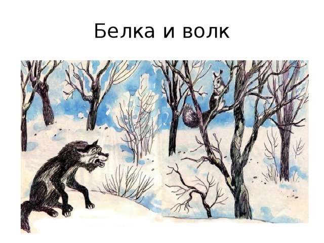 Белка и волк