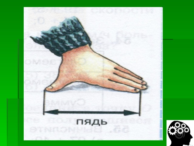 Пядь фразеологизмы