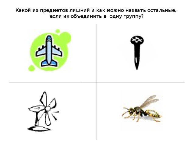 Какой из предметов лишний и как можно назвать остальные,  если их объединить в одну группу?