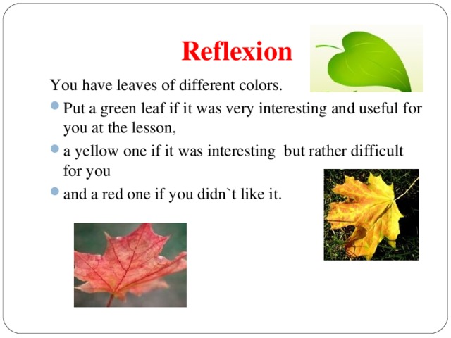 Reflexion You have leaves of different colors.