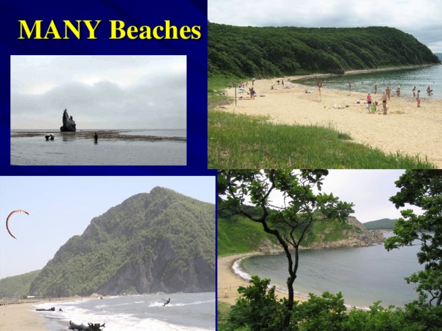 MANY Beaches