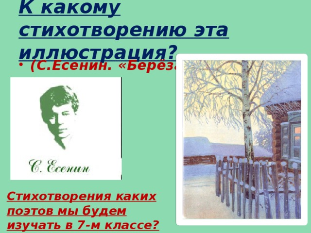 К какому стихотворению эта иллюстрация? (С.Есенин. «Берёза».) Стихотворения каких поэтов мы будем изучать в 7-м классе?