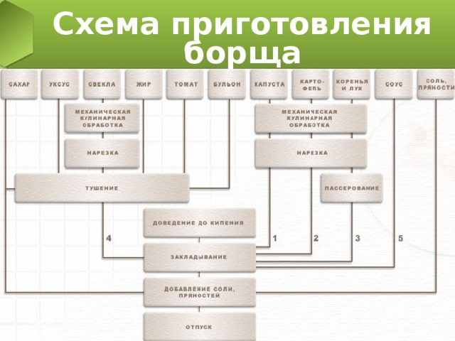 Курсовая работа по теме Технологический процесс приготовления 'Борща украинского'