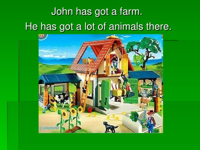 John has got a farm. He has got a lot of animals there.