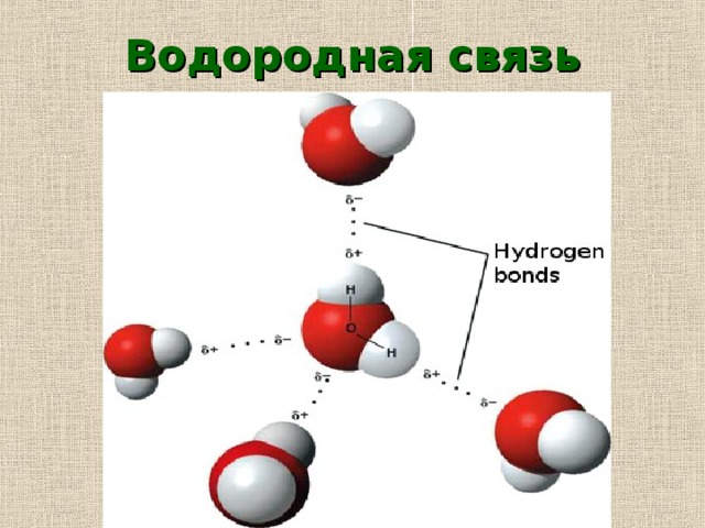 Водородная связь