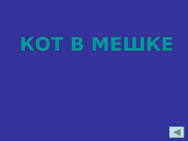 КОТ В МЕШКЕ