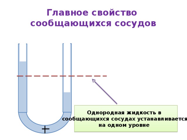 Может ли однородная жидкость в сообщающихся сосудах располагаться так как показано на рисунке