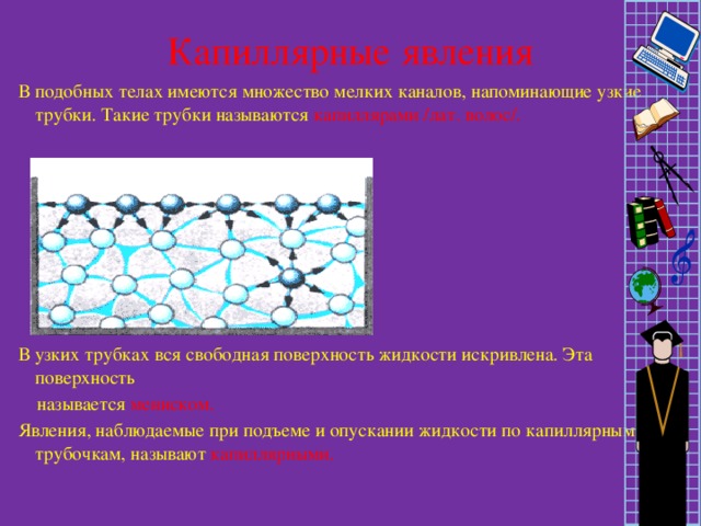 Капиллярные явления в природе