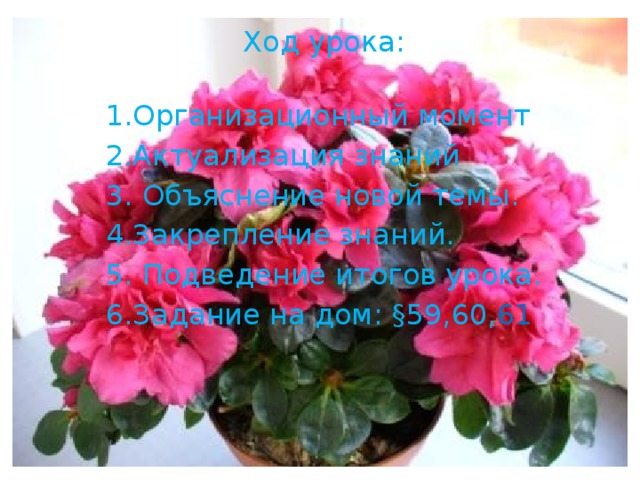 Ход урока:   1.Организационный момент  2.Актуализация знаний  3. Объяснение новой темы.  4.Закрепление знаний.  5. Подведение итогов урока.  6.Задание на дом: §59,60, 61