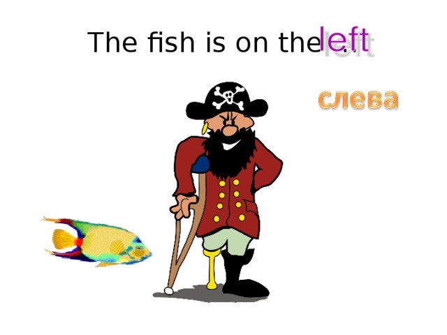 The fish is on the …