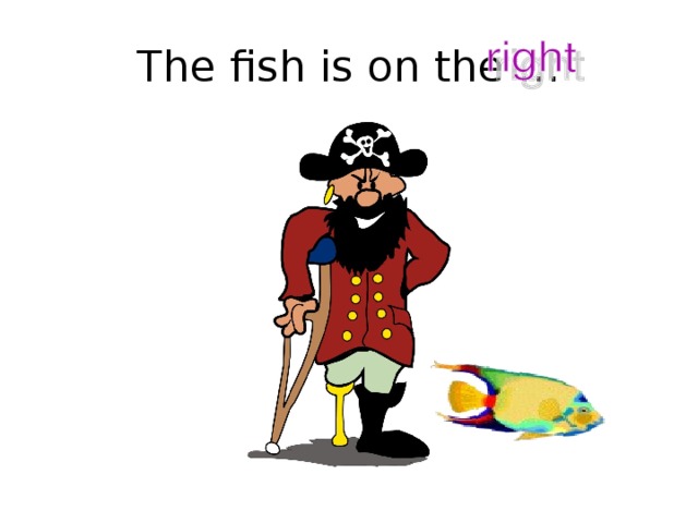 The fish is on the …