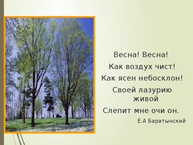 Весна! Весна! Как воздух чист! Как ясен небосклон! Своей лазурию живой Слепит мне очи он. Е.А Баратынский