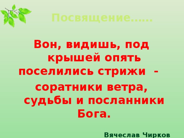 Посвящение…… Вон, видишь, под крышей опять поселились стрижи - соратники ветра, судьбы и посланники Бога.  Вячеслав Чирков